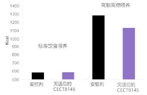 截图-20240426160747